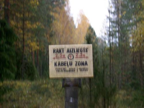 Moosiger Wald (100_0487.JPG) wird geladen. Eindrucksvolle Fotos aus Lettland erwarten Sie.